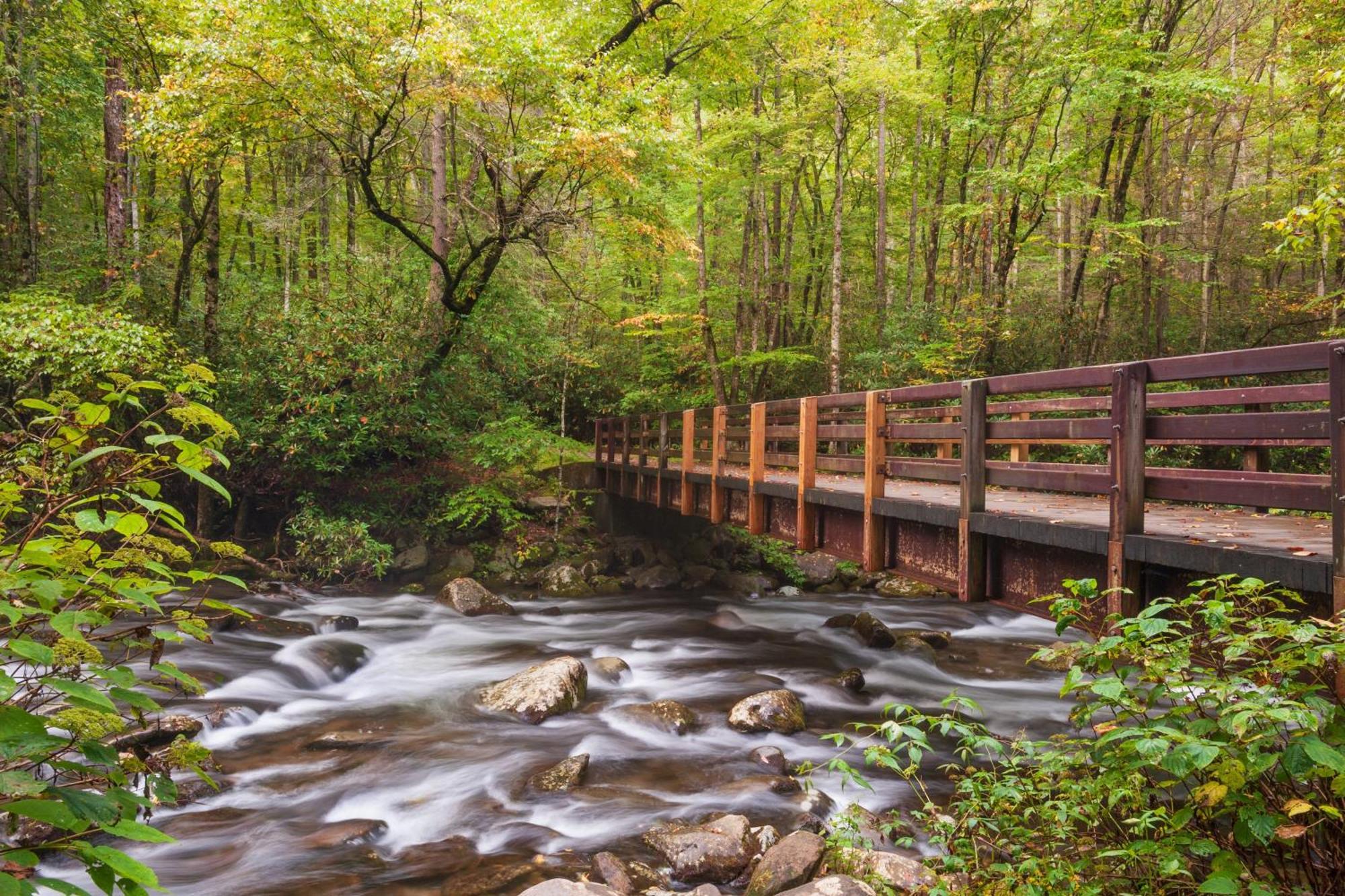 Lazy Bear Lodge, Hot Tub, Resort Pool, Wifi, 1089 Free Tickets Each Paid Day, Dollywood And More Gatlinburg Eksteriør billede